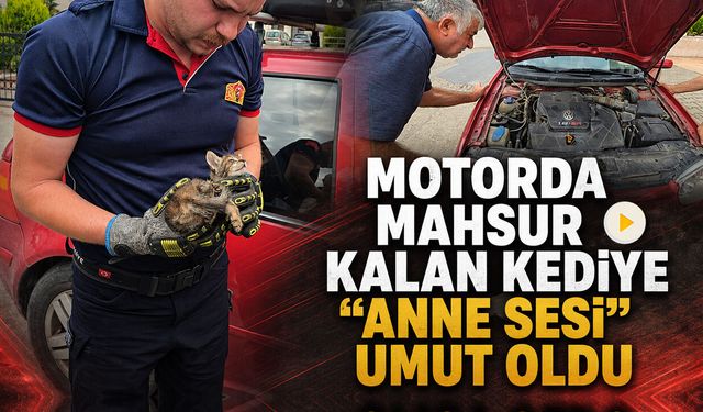 MOTORDA MAHSUR KALAN KEDİYE “ANNE SESİ” UMUT OLDU