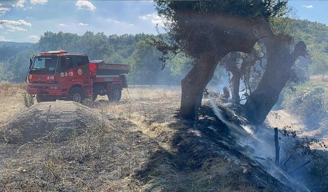 KASTAMONU'DA ÖRTÜ YANGINI SÖNDÜRÜLDÜ