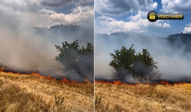 SAFRANBOLU'DA OT YANGINI PANİĞİ: EKİPLER SEFERBER OLDU