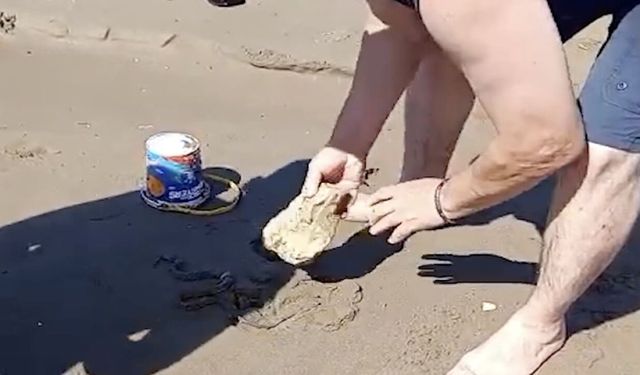 PLAJDA YILAN PANİĞİ