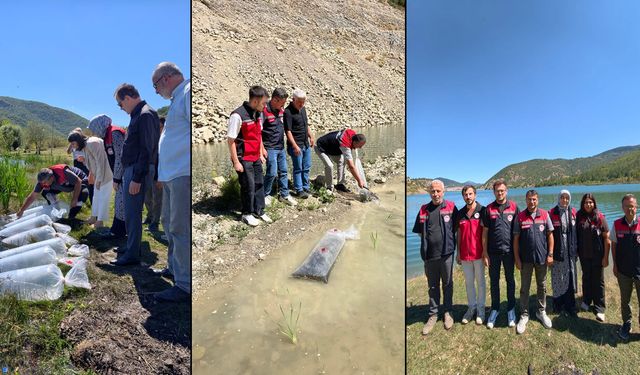 KARABÜK’TE GÖL VE GÖLETLERE 105 BİN YAVRU BALIK BIRAKILDI