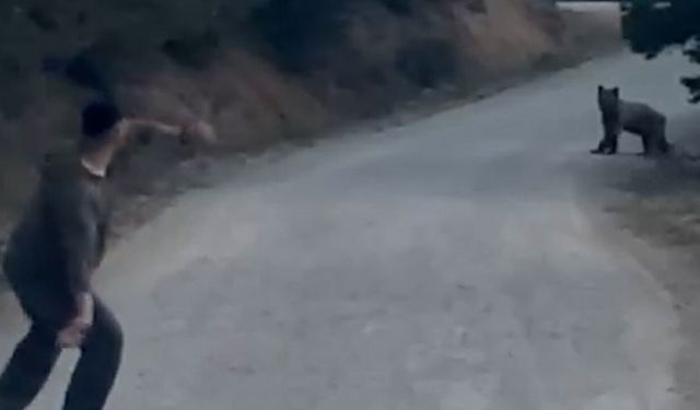 BOLU'DA AYIYI TAŞLA KOVALADILAR