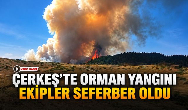 ÇERKEŞ’TE ORMAN YANGINI EKİPLER SEFERBER OLDU