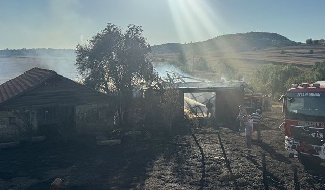 EFLANİ'DE SAMANLIKTA KORKUTAN YANGIN
