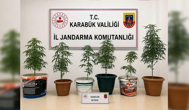 JANDARMA 4 AYRI ADRESE OPERASYON DÜZENLEDİ
