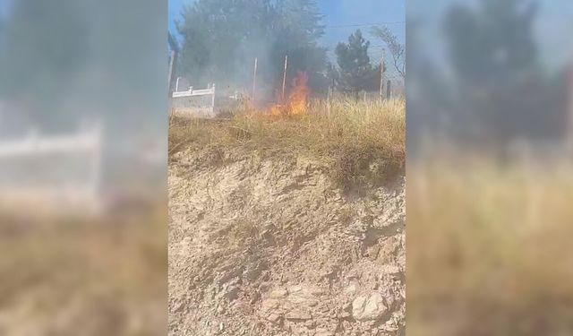 KASTAMONU’DA OTLUK ALANDAKİ YANGIN MEZARLIĞA SIÇRADI