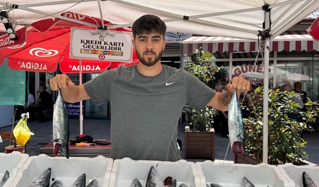 PALAMUT BEREKETİ TEZGAHLARI ŞENLENDİRİYOR