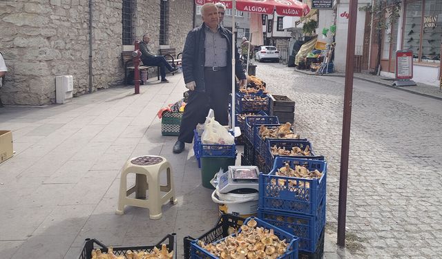 SAFRANBOLU’DA KANLICA MANTARI CEP YAKIYOR