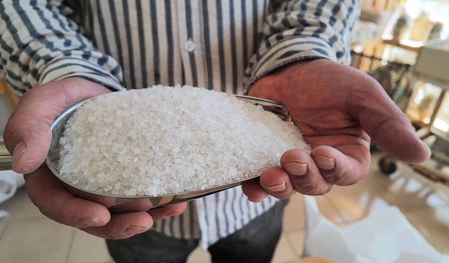 KIŞLIK HAZIRLIKLARDA UZMAN UYARISI: KAYA TUZU TERCİH EDİN