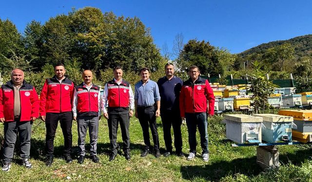 40 KOVANLA BAŞLADI PROFESYONEL ARICI OLDU