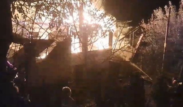 YANGIN ÇIKAN EVİN AHIRINDA HAYVANLAR SON ANDA KURTARILDI
