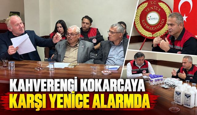 KAHVERENGİ KOKARCAYA KARŞI YENİCE ALARMDA