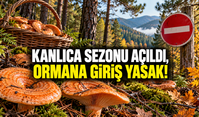KARABÜK’TE KANLICA SEZONU AÇILDI FAKAT ORMANA GİRİŞ YASAK