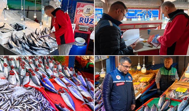 KARABÜK'TE BALIK TEZGAHLARI DENETLENDİ