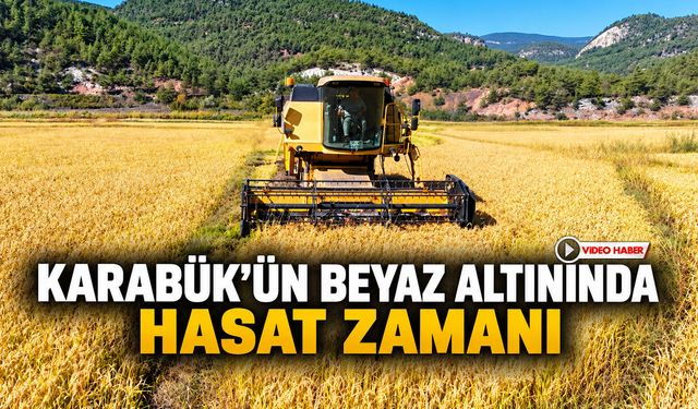 KARABÜK’ÜN BEYAZ ALTININDA HASAT ZAMANI