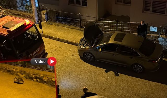 KARABÜK’TE OTOMOBİLİN MOTORUNA SIKIŞAN YAVRU KEDİ KURTARILDI