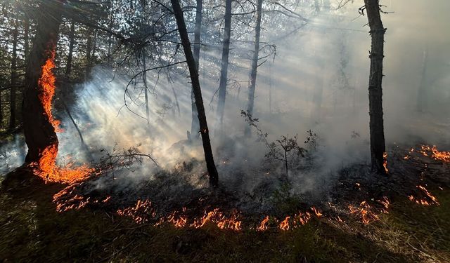 EFLANİ'DE KORKUTAN ÖRTÜ YANGINI