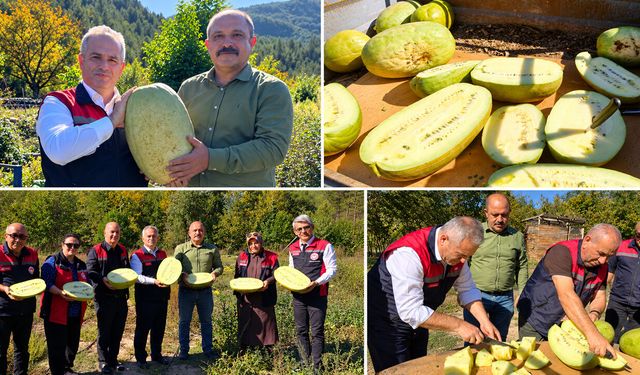 SAFRANBOLU'DA KARTOPU YEM KARPUZ HASATI