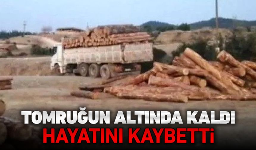 KAYAN TOMRUĞUN ALTINDA KALDI