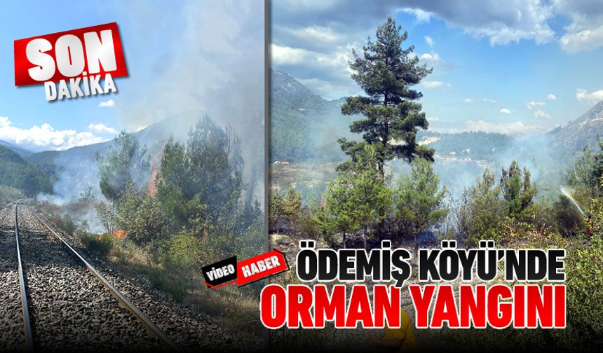 ÖDEMİŞ KÖYÜ CİVARINDA ORMAN YANGINI