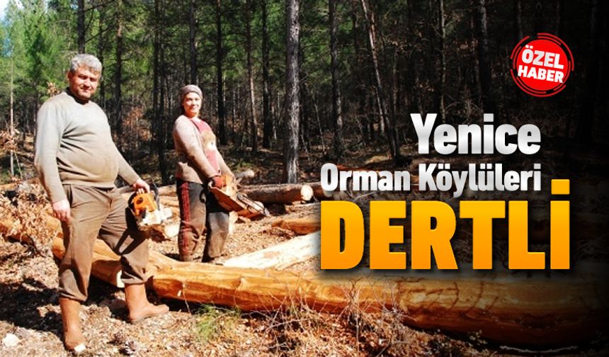 YENİCE ORMAN KÖYLÜLERİ SORUNLARIN GİDERİLMESİNİ BEKLİYOR