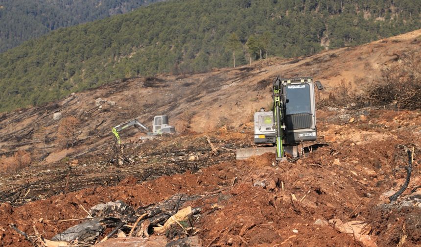 ILGAZ DAĞI YENİDEN YEŞİLLENECEK