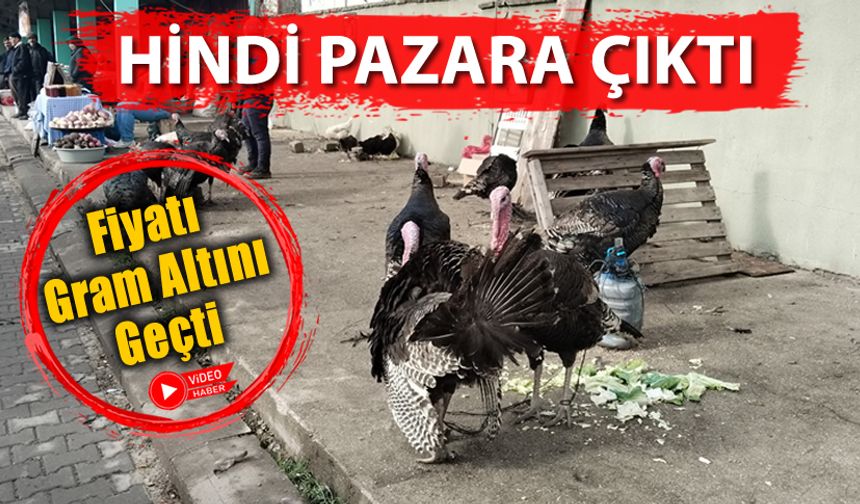 HİNDİ FİYATLARI GRAM ALTINI GEÇTİ