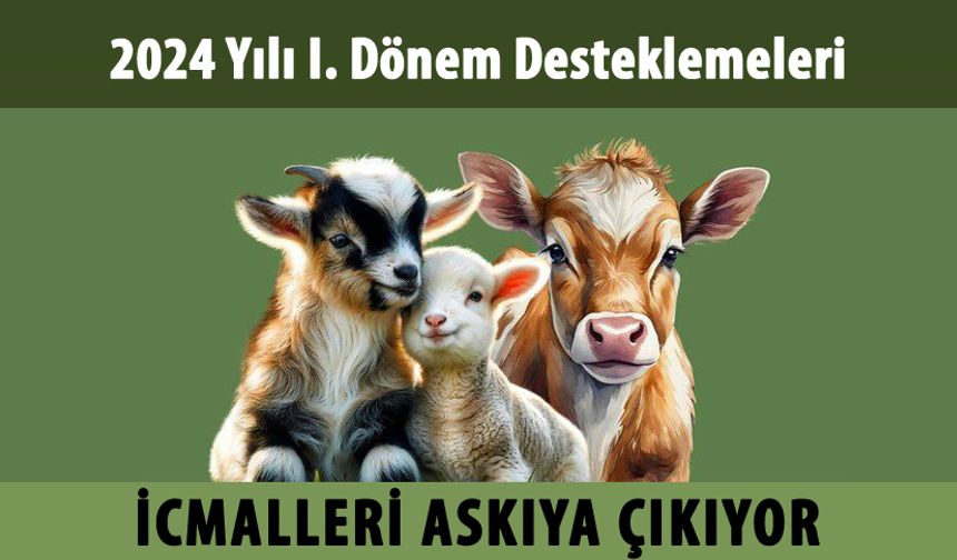 2024 I. DÖNEM DESTEKLEME İCMALLERİ ASKIYA ÇIKIYOR