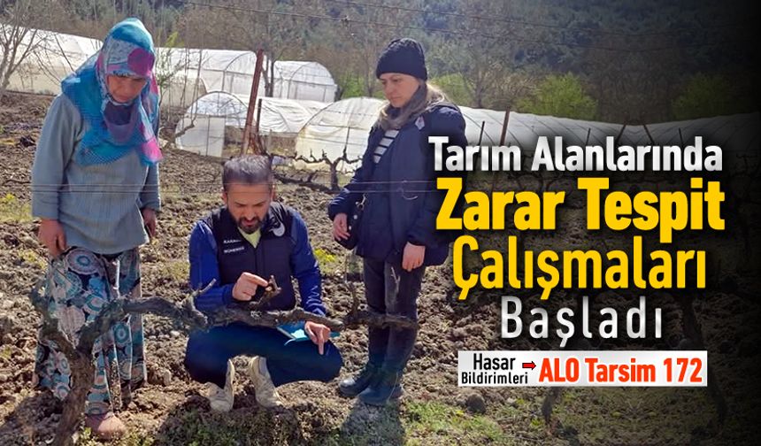 TARIM ALANLARINDA ZARAR TESPİTİ YAPILIYOR