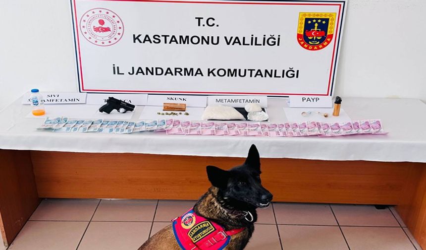 KASTAMONU'DA JANDARMADAN ZEHİR OPERASYONU 3 TUTUKLAMA