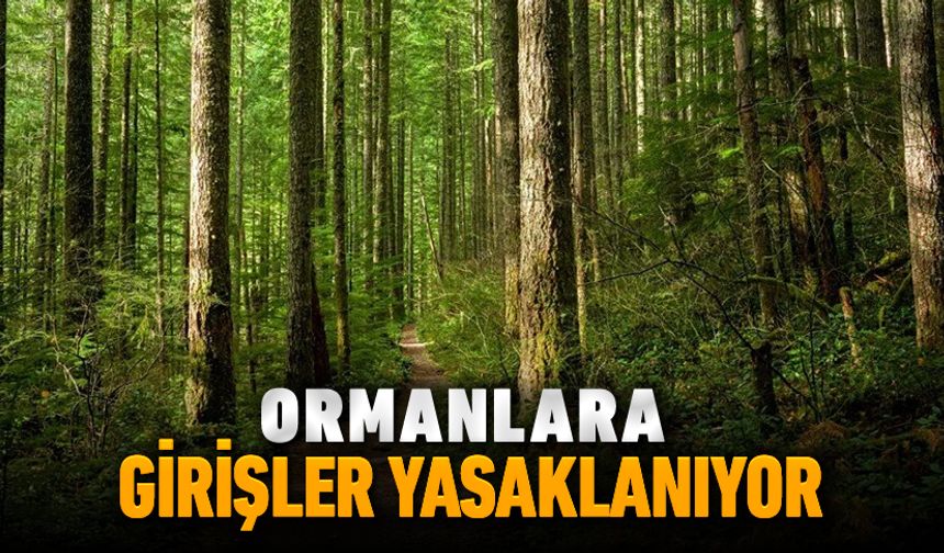 ORMANLARA GİRİŞLER YASAKLANIYOR