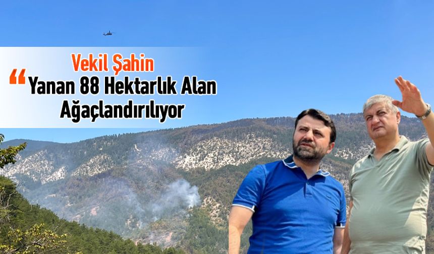 VEKİL ŞAHİN, "YANAN 88 HEKTARLIK ALAN AĞAÇLANDIRILIYOR"