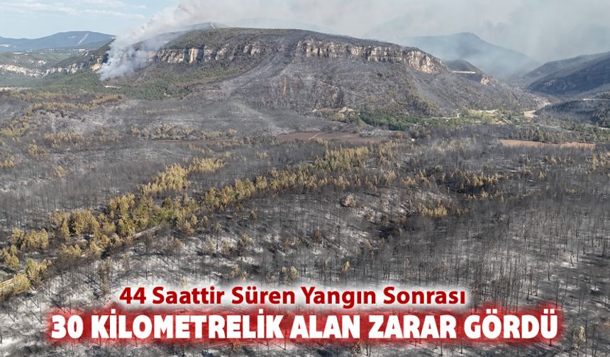 YANGINDA 30 KİLOMETRELİK ALAN ZARAR GÖRDÜ