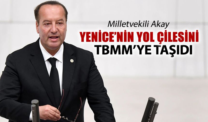 MİLLETVEKİLİ AKAY YENİCE YOLUNU TBMM GÜNDEMİNE TAŞIDI