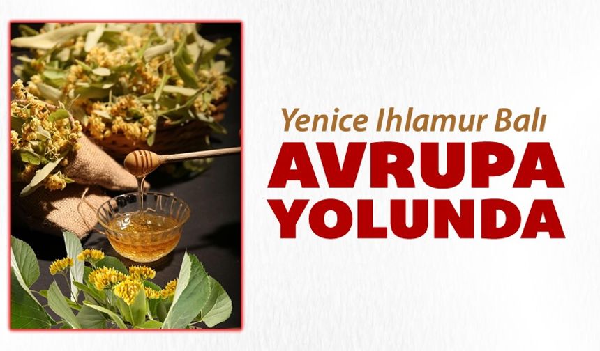 YENİCE IHLAMUR BALI AVRUPA YOLUNDA