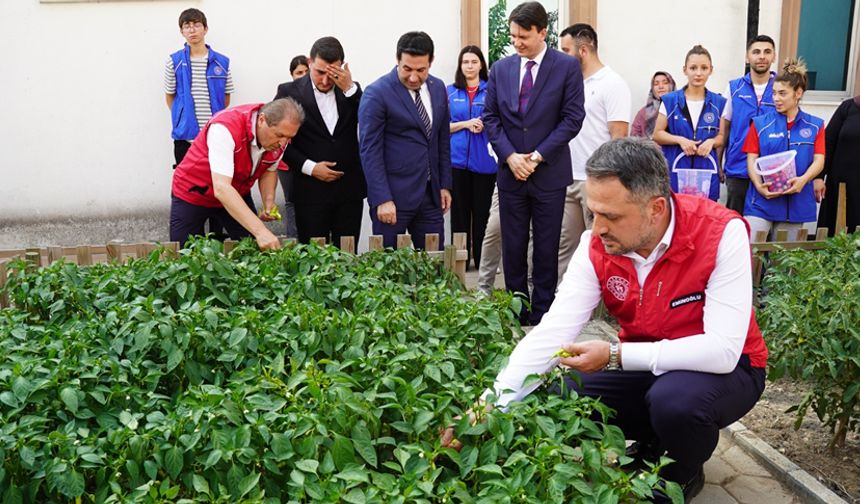 BAKAN YARDIMCISI EMİNOĞLU TARLADA GENÇLERLE HASAT YAPTI