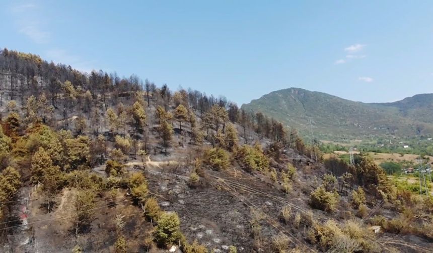 BARTIN'DAKİ ORMAN YANGINININ TAHRİBATI HAVADAN GÖRÜNTÜLENDİ