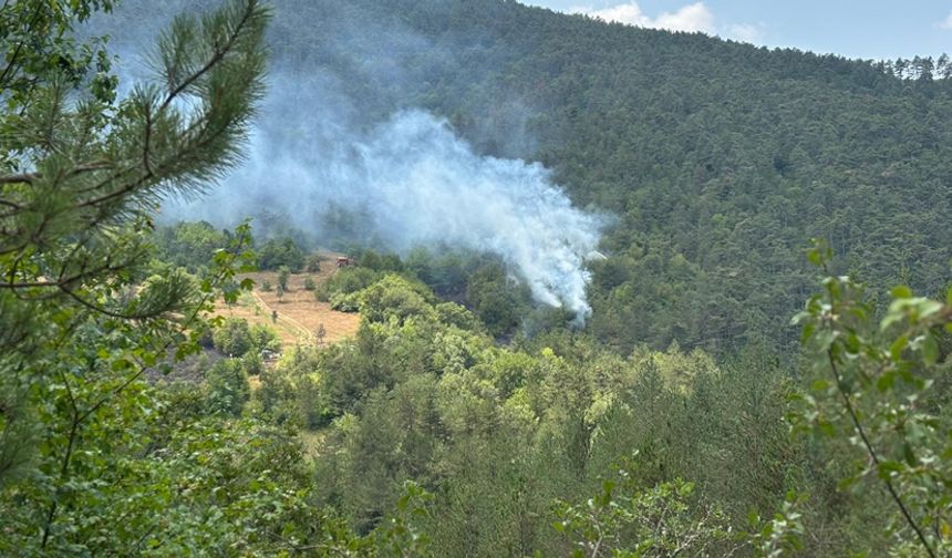 BOLU'DA ORMANLIK ALANDA YANGIN BAŞLADI