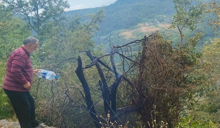 ÇATALZEYTİN'DE ÇIKAN ORMAN YANGINI KONTROL ALTINA ALINDI