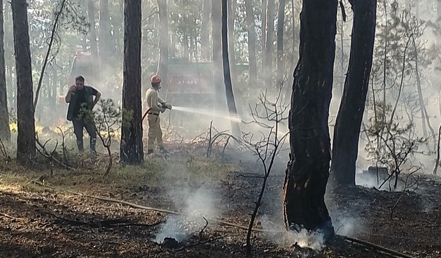 KASTAMONU'DA ORMAN YANGINI BÜYÜMEDEN SÖNDÜRÜLDÜ