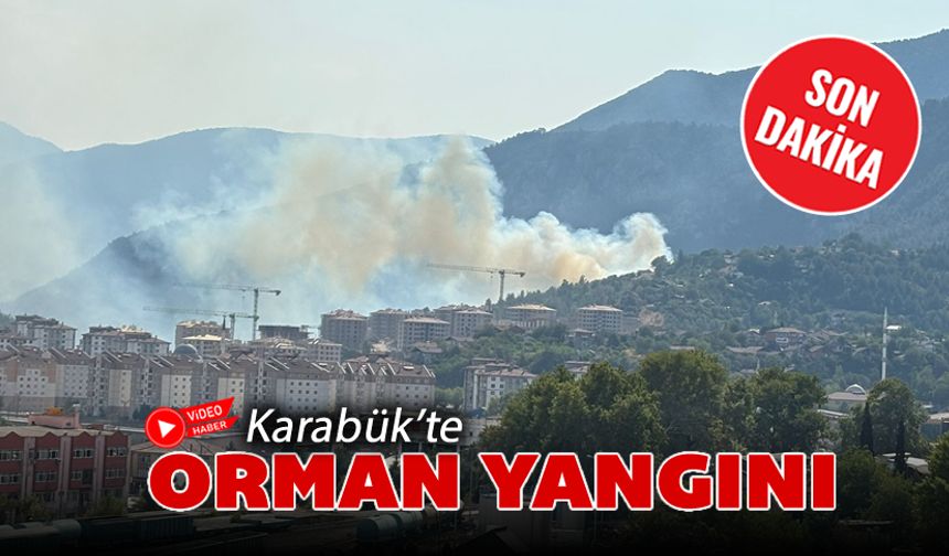 KARABÜK'TE ORMAN YANGINI
