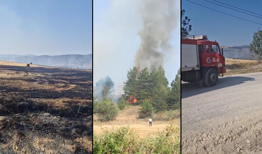 ESKİPAZAR'DA ANIZ YANGINI KONTROL ALTINA ALINDI