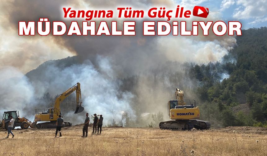 YANGINA TÜM GÜÇ İLE MÜDAHALE EDİLİYOR