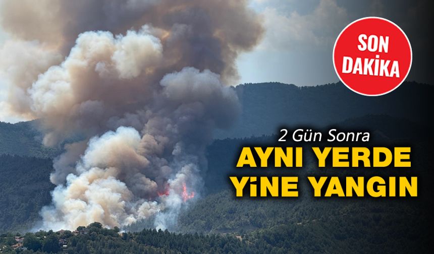 AYNI YERDE YENİDEN YANGIN ÇIKTI