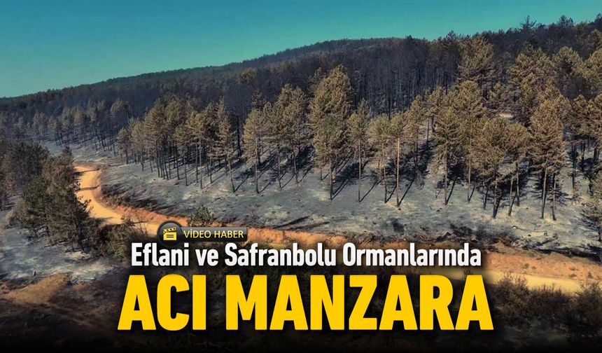 ORMAN YANGINLARINDA ACI MANZARA