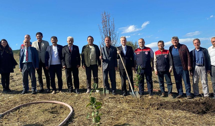 OVACIK’TA KIZILCIK (KİREN) FİDANLARI TOPRAKLA BULUŞTU