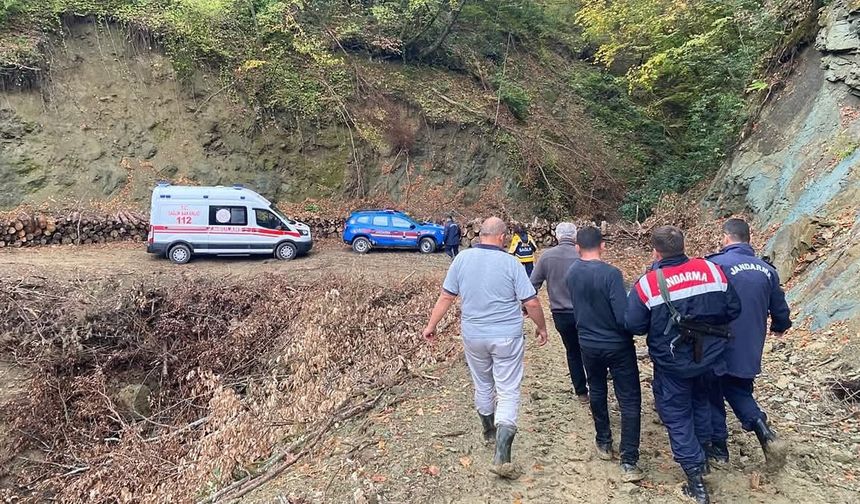 ABANA'DA AYI SALDRISINA UĞRAYAN VATANDAŞ YARALANDI