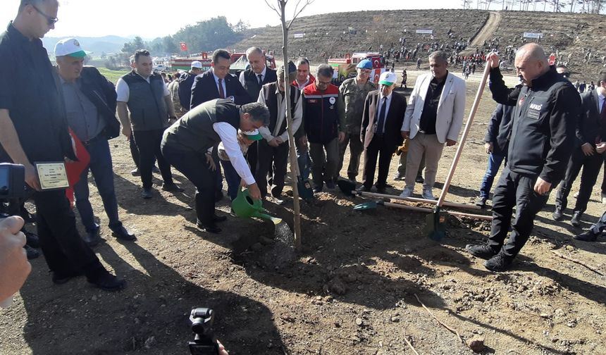 BOLU'DA MİLLİ AĞAÇLANDIRMA GÜNÜ'NDE BİNLERCE AĞAÇ DİKİLDİ