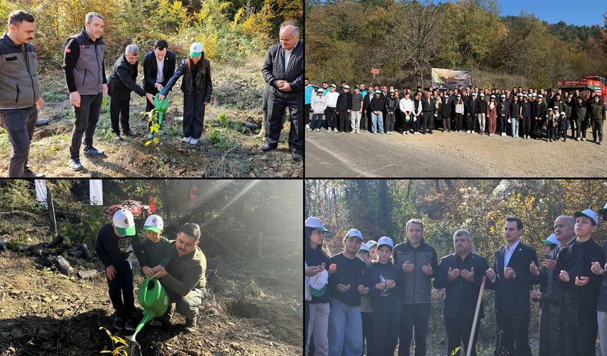 YENİCE'DE FİDANLAR TOPRAKLA BULUŞTU