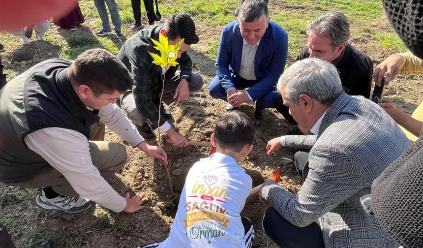 DEVREK'TE 400 FİDAN DİKİLDİ